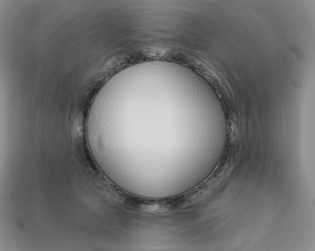 X0000113580561200910161542