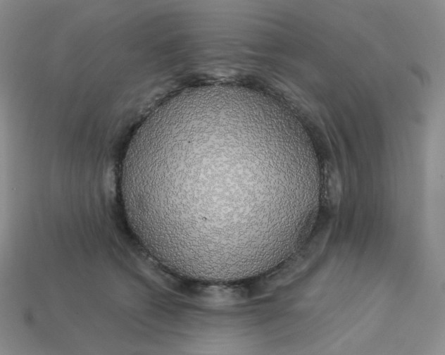 X0000113580562200910161542