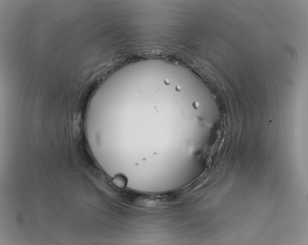 X0000113580563200910161542