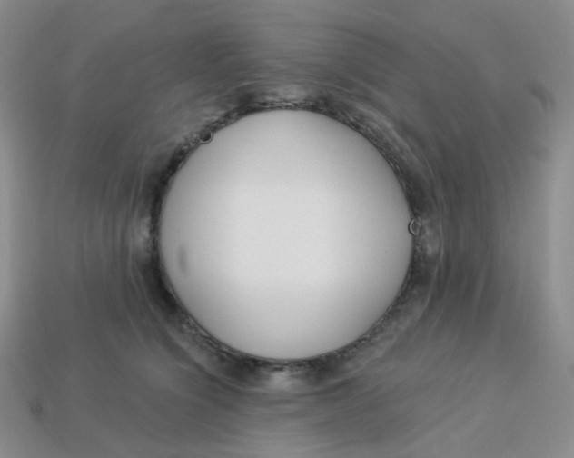 X0000113580564200910161542