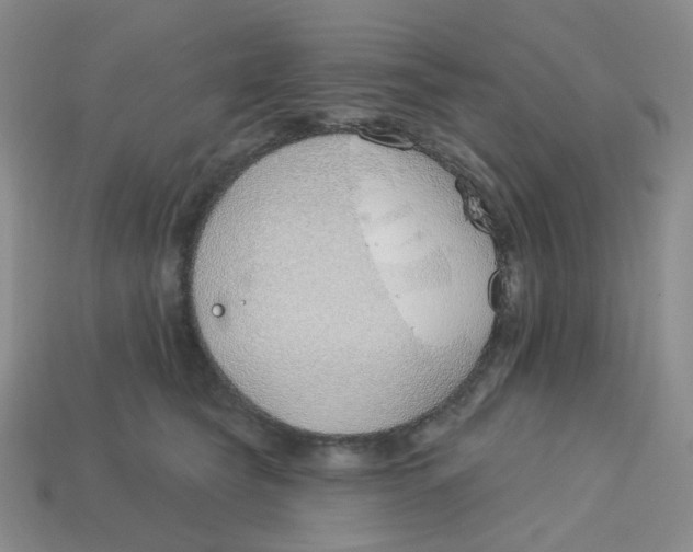 X0000113580565200910161542