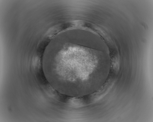 X0000113580568200910161542