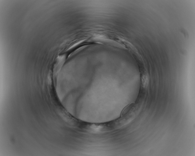 X0000113580570200910161542