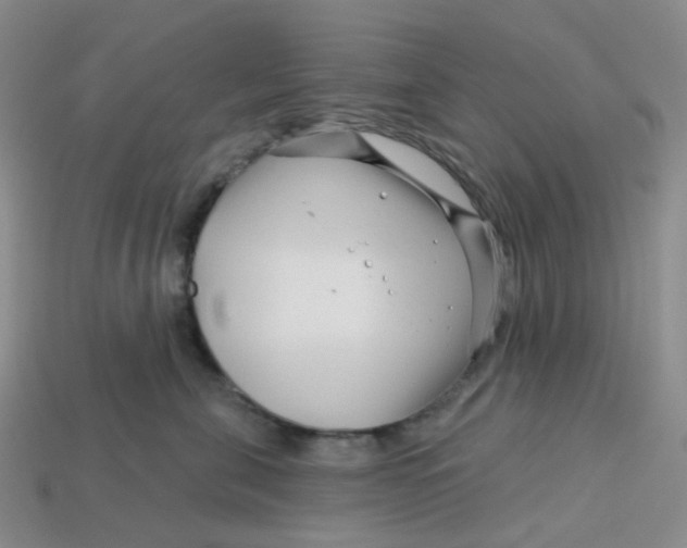 X0000113580571200910161542