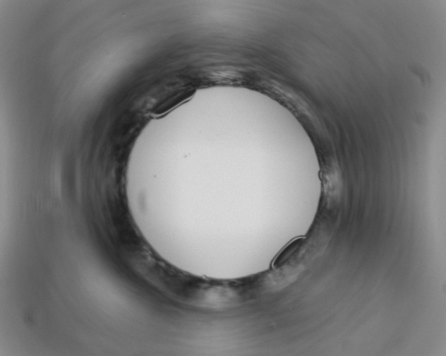 X0000113580572200910161542