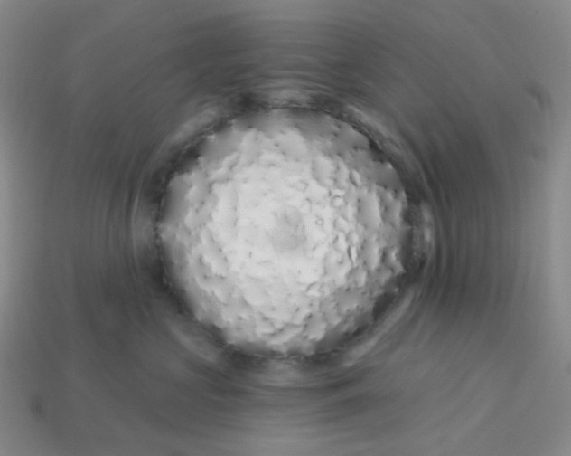 X0000113580573200910161542