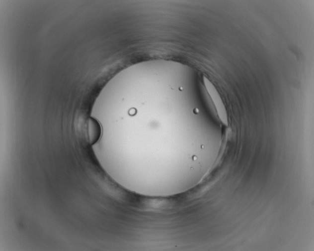 X0000113580575200910161542