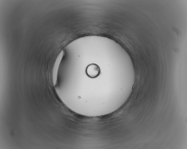 X0000113580576200910161542