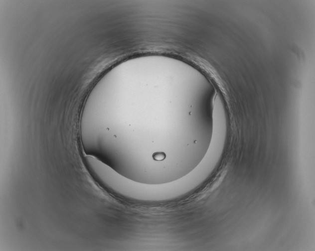 X0000113580577200910161542