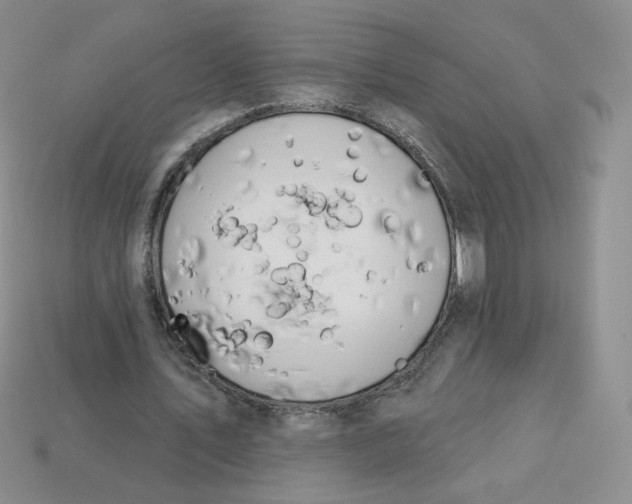 X0000113580579200910161542