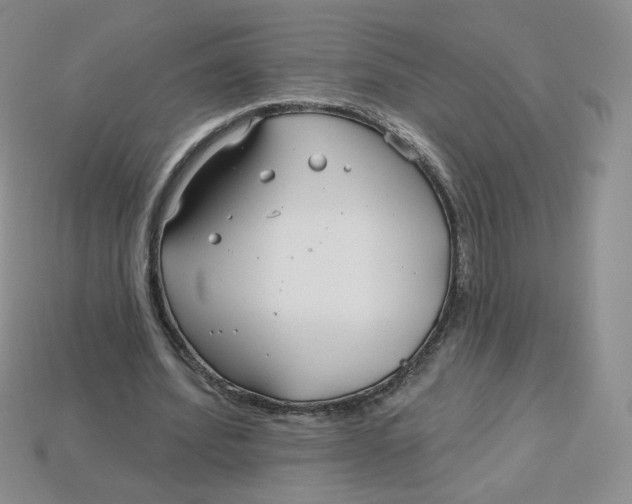 X0000113580580200910161542