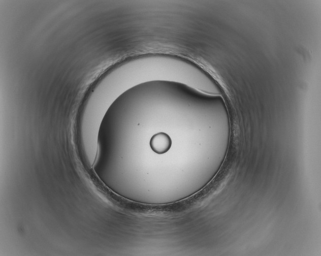 X0000113580581200910161542