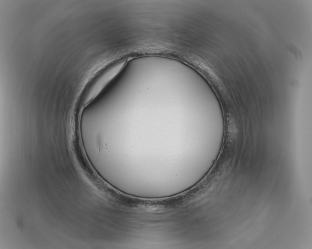 X0000113580582200910161542