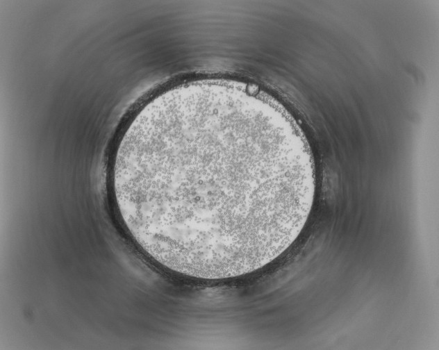 X0000113580584200910161542