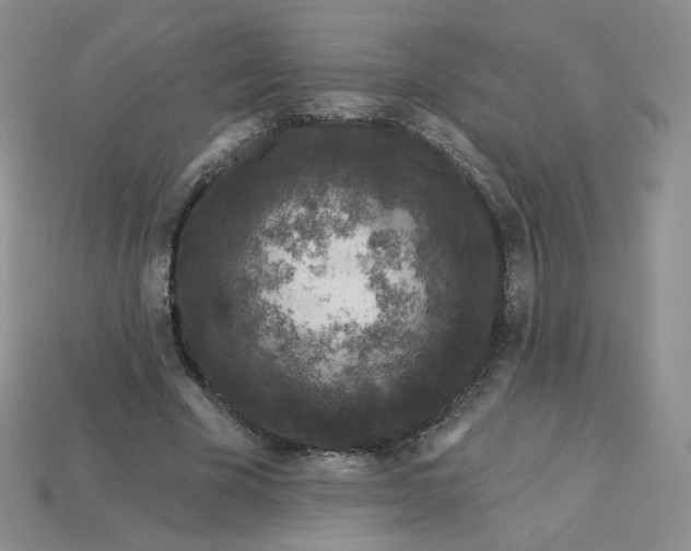 X0000113580585200910161542