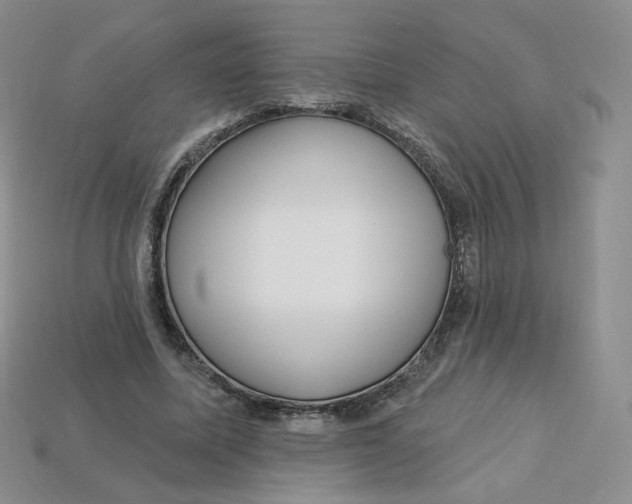 X0000113580587200910161542