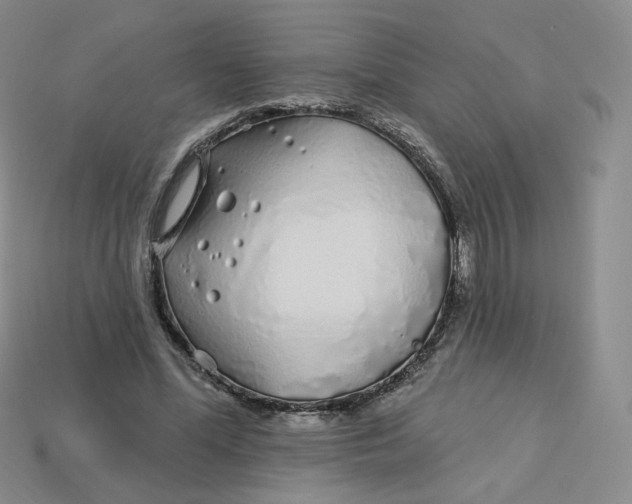 X0000113580588200910161542