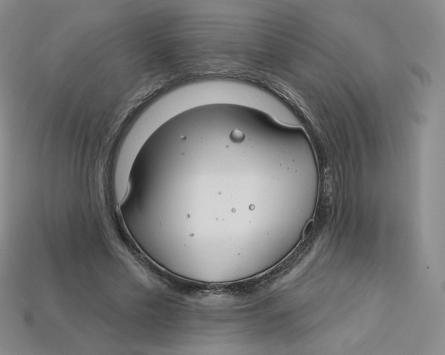 X0000113580589200910161542