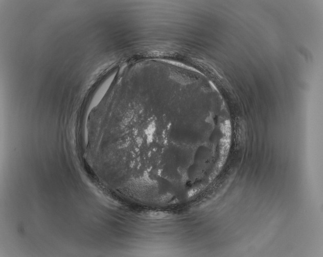 X0000113580590200910161542