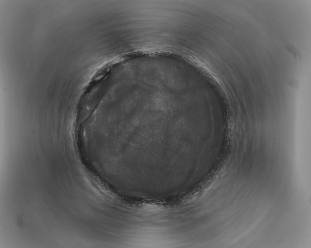 X0000113580592200910161541