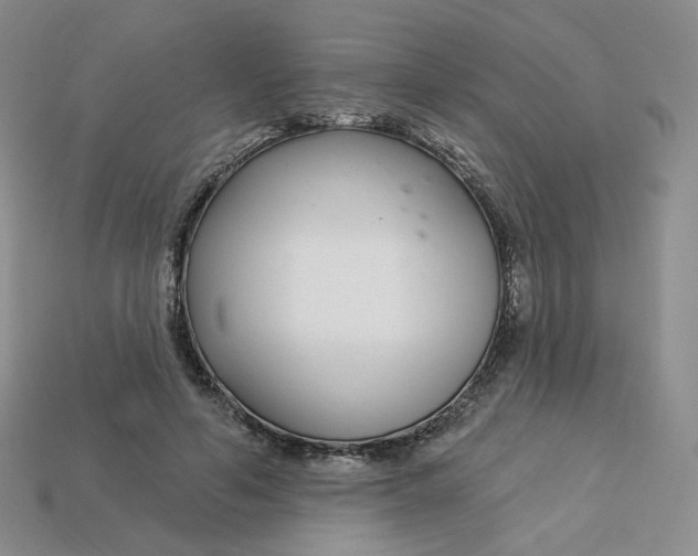 X0000113580594200910161541