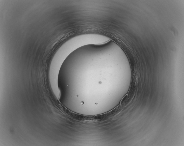 X0000113580595200910161541