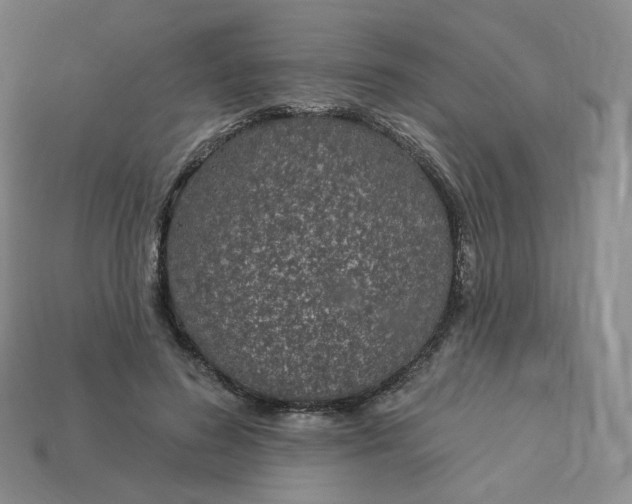 X0000113580596200910161541