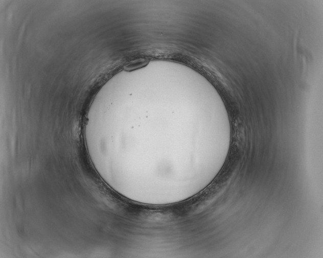 X0000113580597200910161541