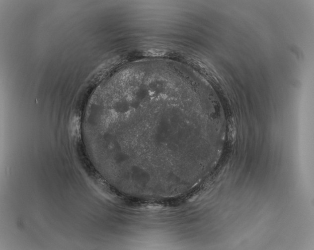 X0000113580598200910161541