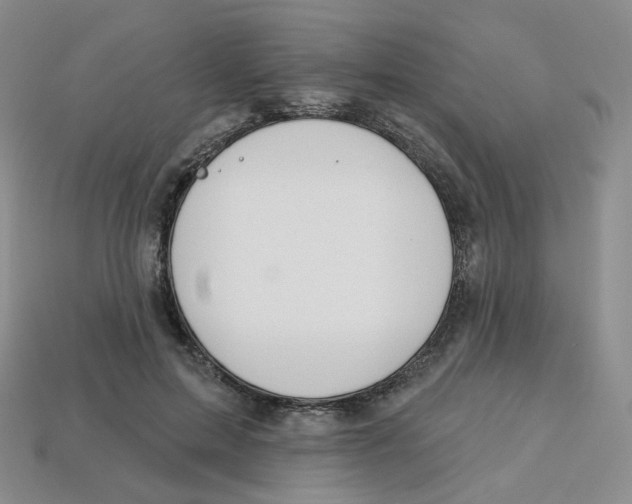 X0000113580599200910161541