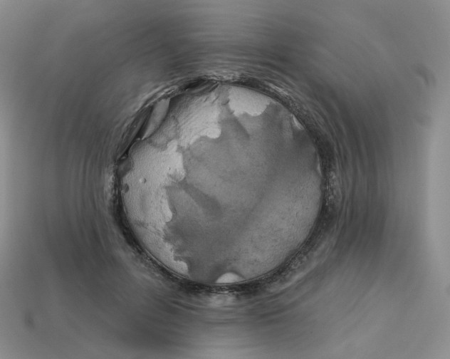 X0000113580600200910161541