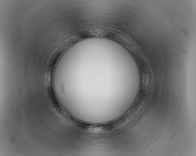 X0000113580602200910161541