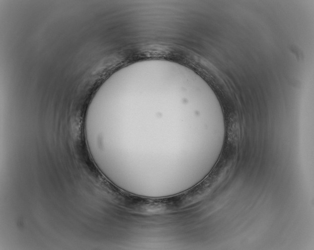 X0000113580604200910161541