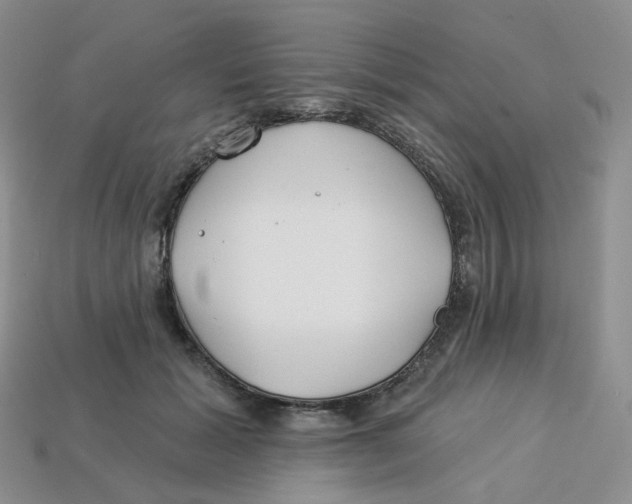 X0000113580605200910161541