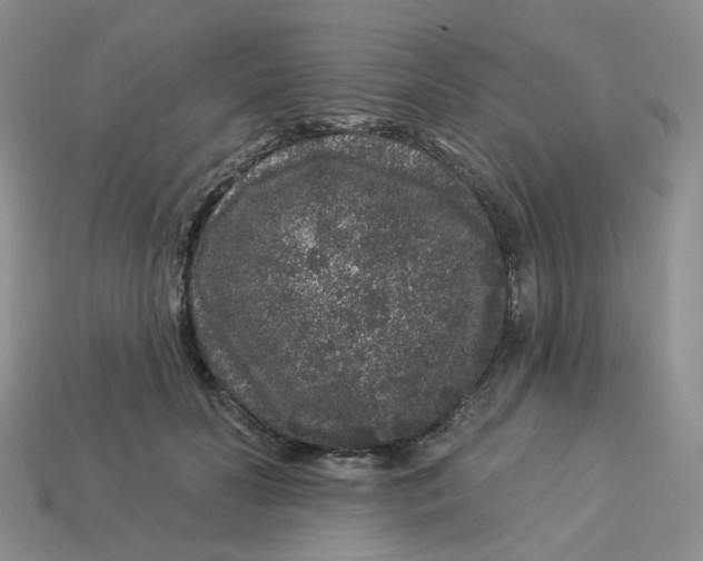 X0000113580606200910161541