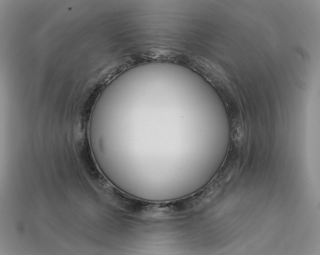 X0000113580607200910161541