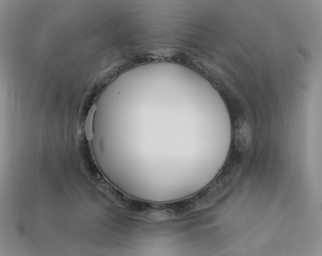 X0000113580608200910161541