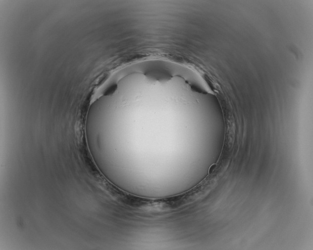 X0000113580609200910161541