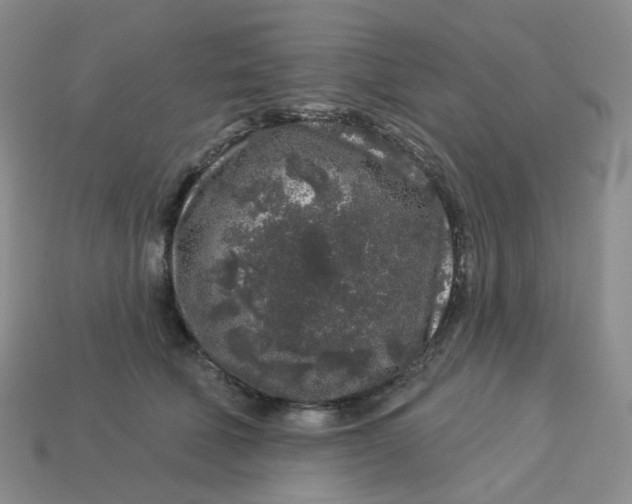 X0000113580610200910161541