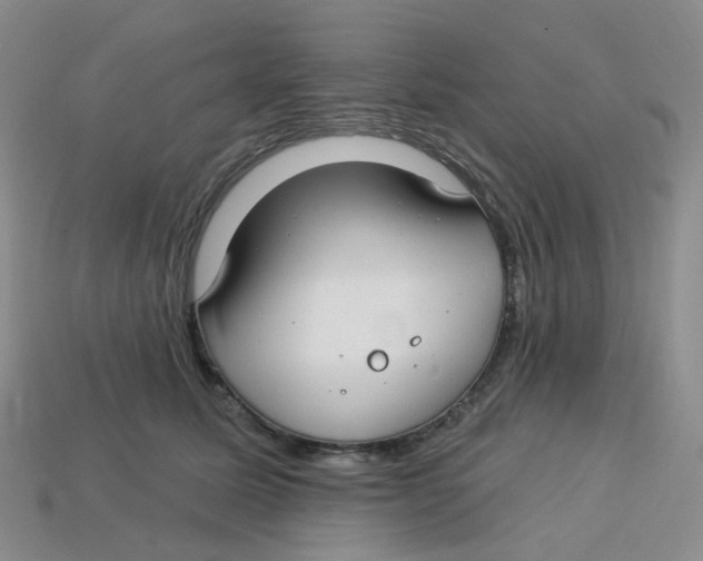 X0000113580611200910161541