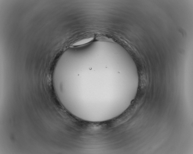 X0000113580613200910161541