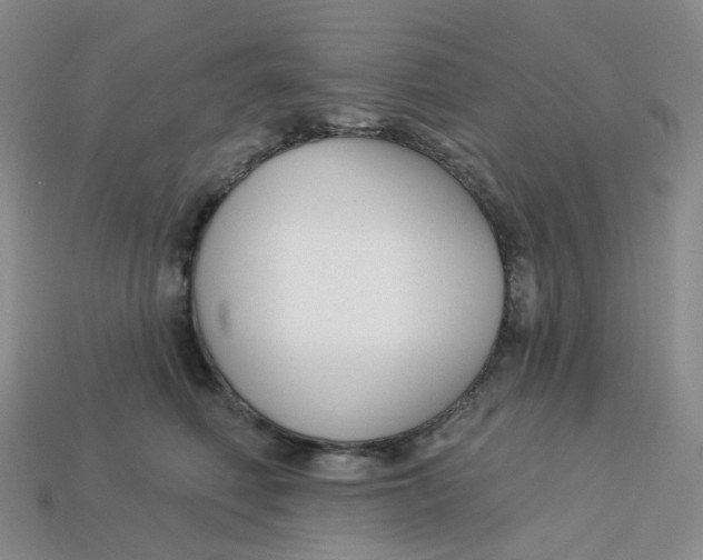 X0000113580614200910161541