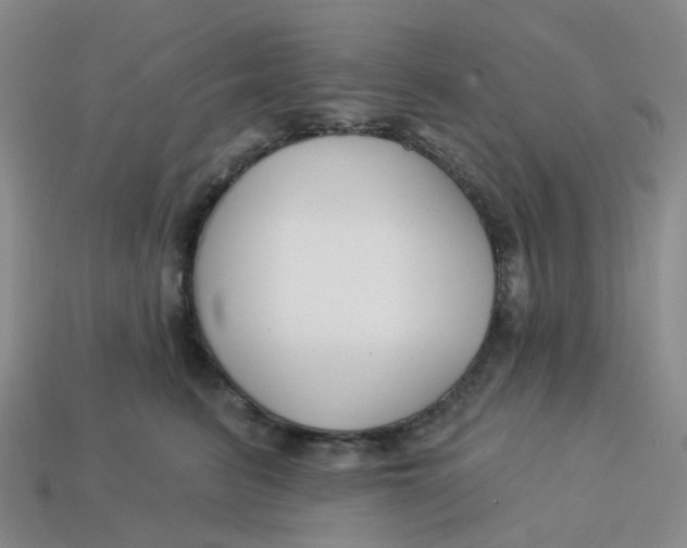 X0000113580615200910161541