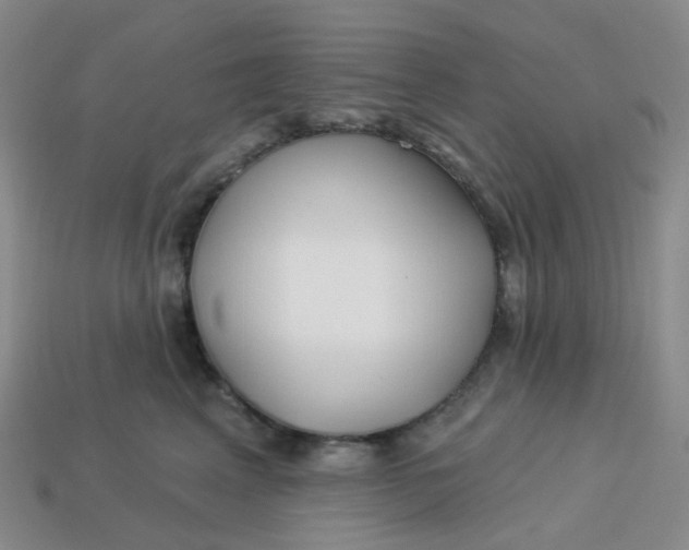 X0000113580617200910161541