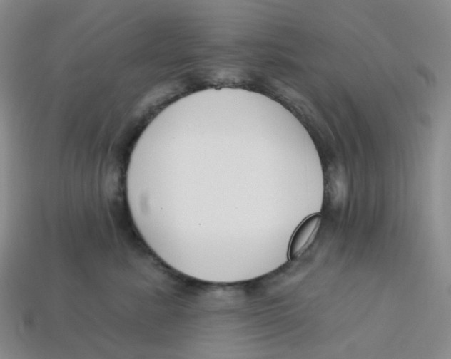 X0000113580619200910161541