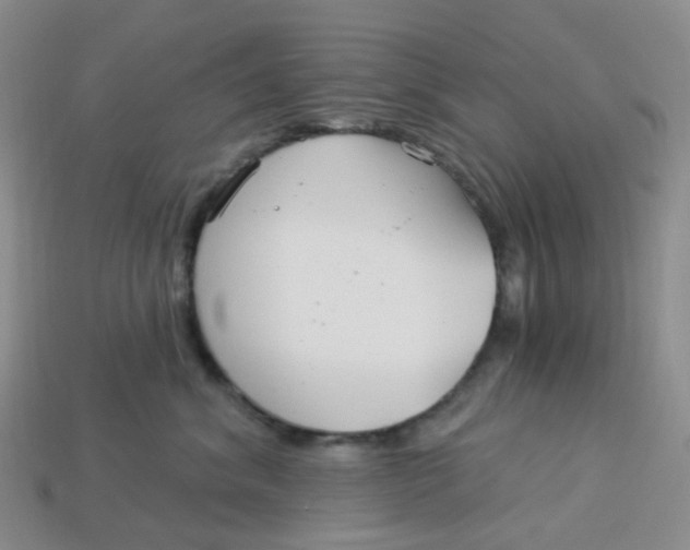 X0000113580620200910161541