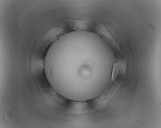 X0000113580621200910161541