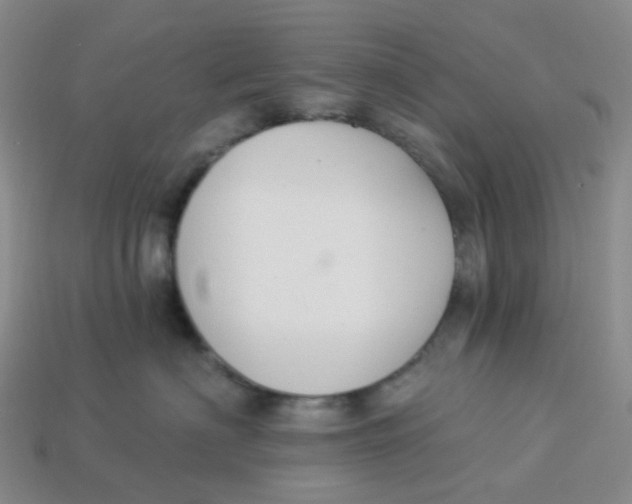 X0000113580622200910161541