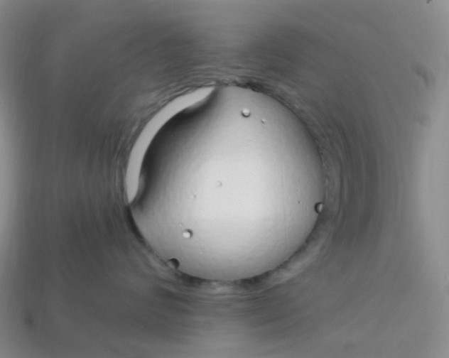 X0000113580624200910161541