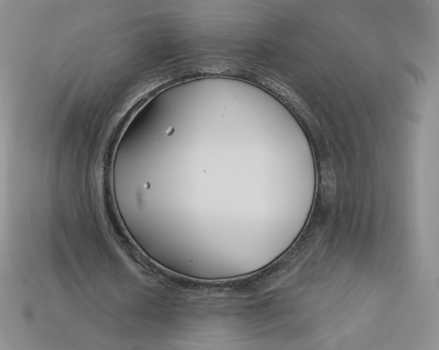 X0000113580626200910161540